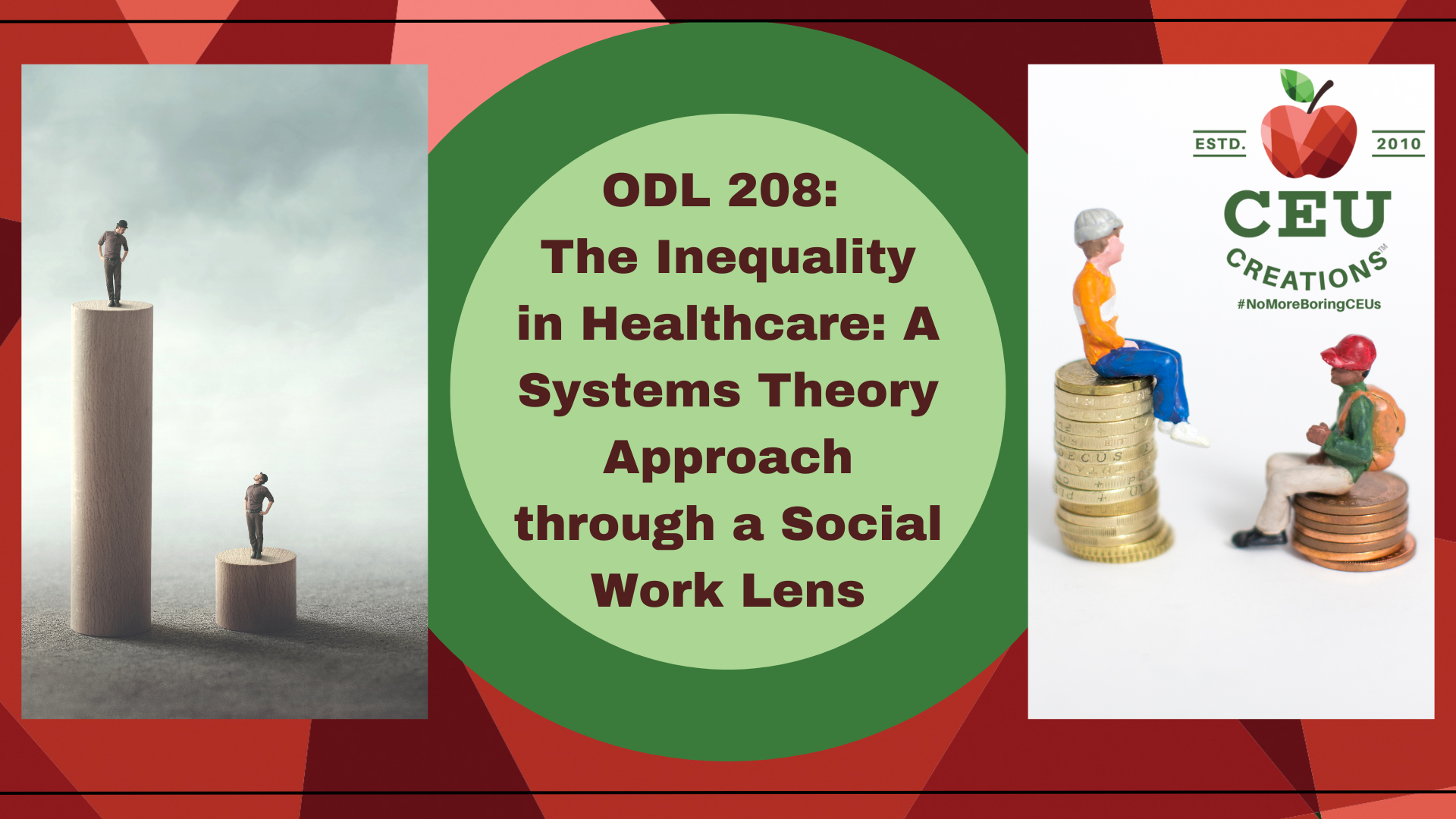 ODL 208: The Inequality in Healthcare: A Systems Theory Approach ...